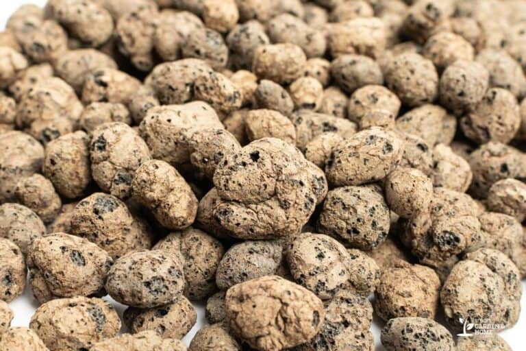 Guide To Using Clay Pebbles In Hydroponics Smart Garden And Home