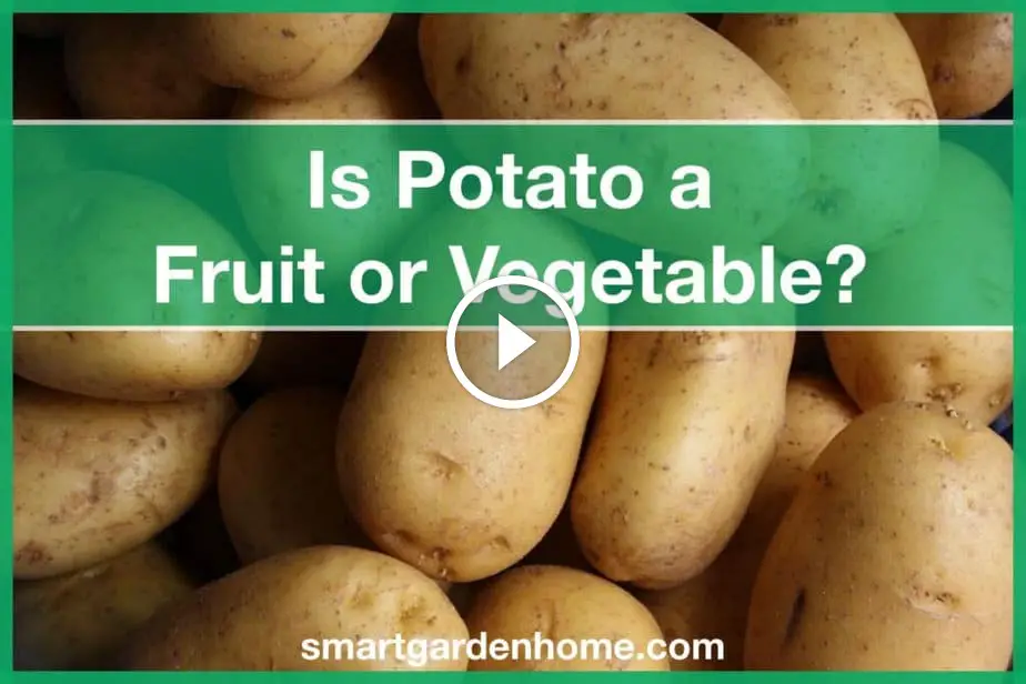 Is Potato a Fruit or a Vegetable? - Smart Garden and Home