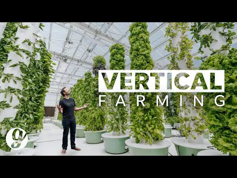 Next Gen Farming Without Soil and 90% Less Water | GRATEFUL