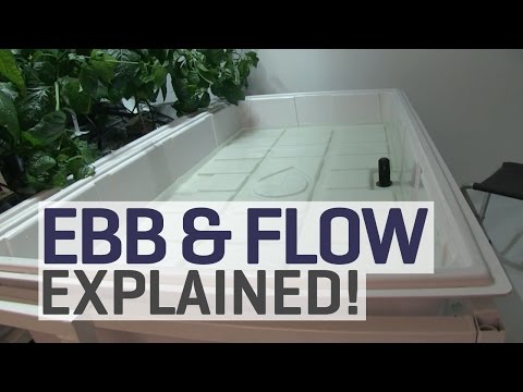 Ebb and Flow Hydroponics Explained!