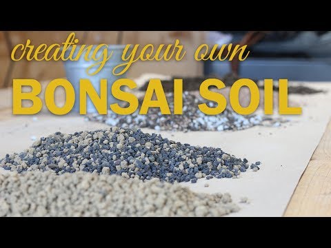Bonsai Soil Basics