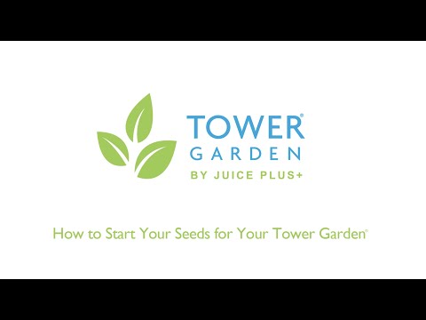 How to Start Seeds &amp; Transplant Seedlings to Your Tower Garden®: Planting Instructions