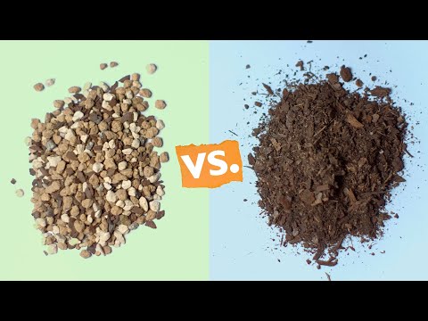 BONSAI SOIL vs POTTING MIX: Does it make a difference?