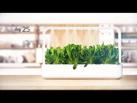 Self-watering Smart Garden 9 - Romaine Lettuce time lapse