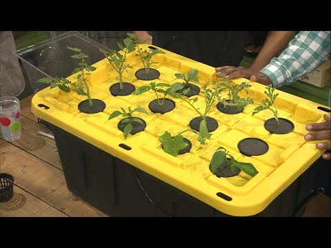 Building an Inexpensive Hydroponics/Aeroponics System