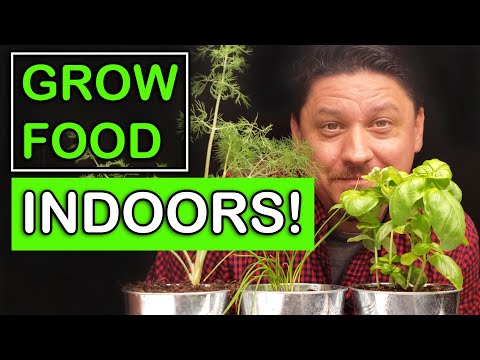 Growing Food Indoors - The Ultimate Guide