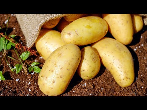 10 Benefits of Potatoes | Health And Nutrition