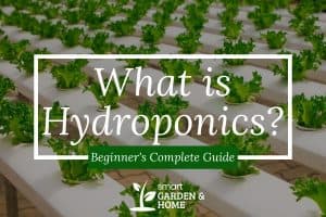 What Is Hydroponics? Beginner's Complete Guide | Smart Garden & Home