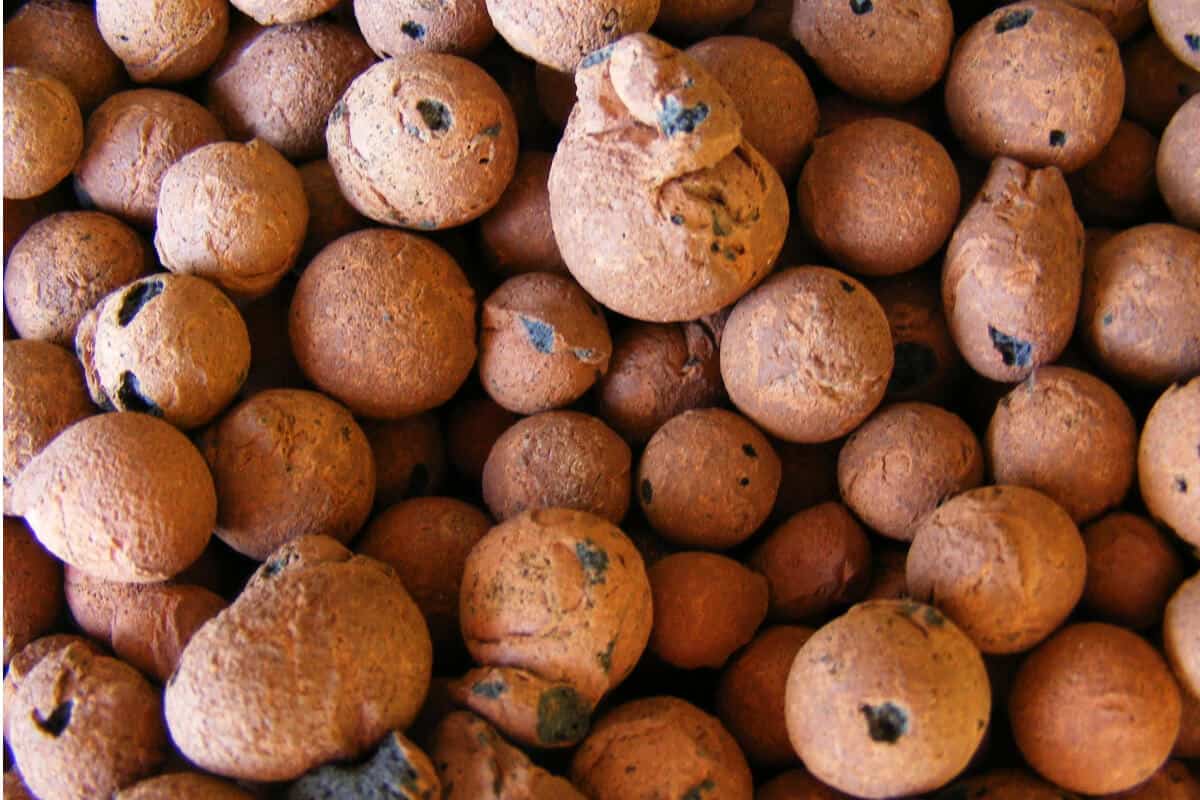 Clay Pebbles