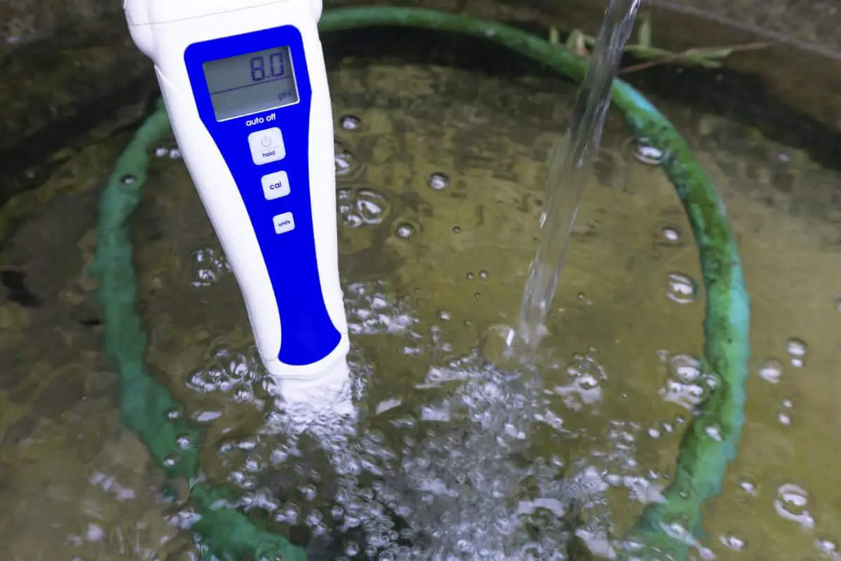 Balance Your Hydroponic Water pH Levels