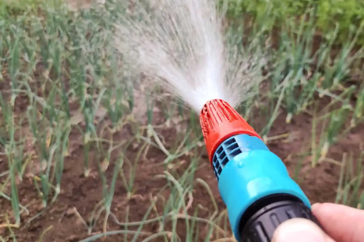 Keep Ants Away using Water Blasts