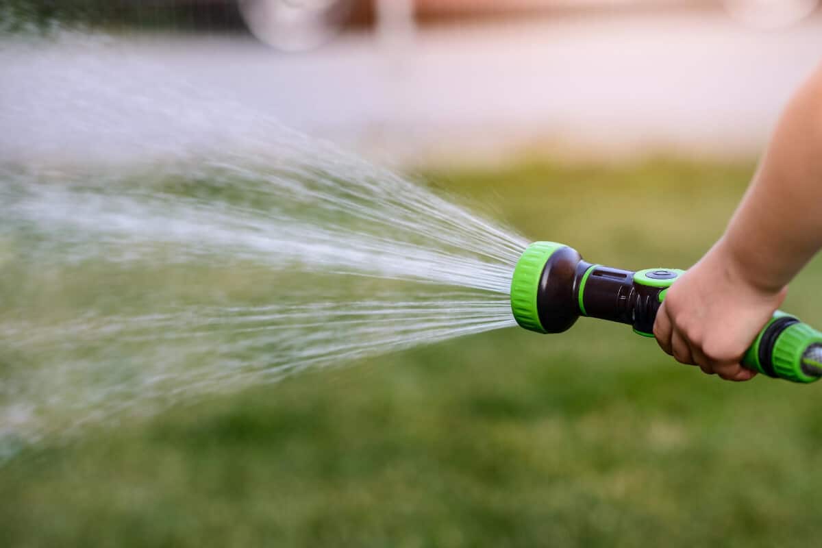 Keep Ants Away Through A Blast of Water