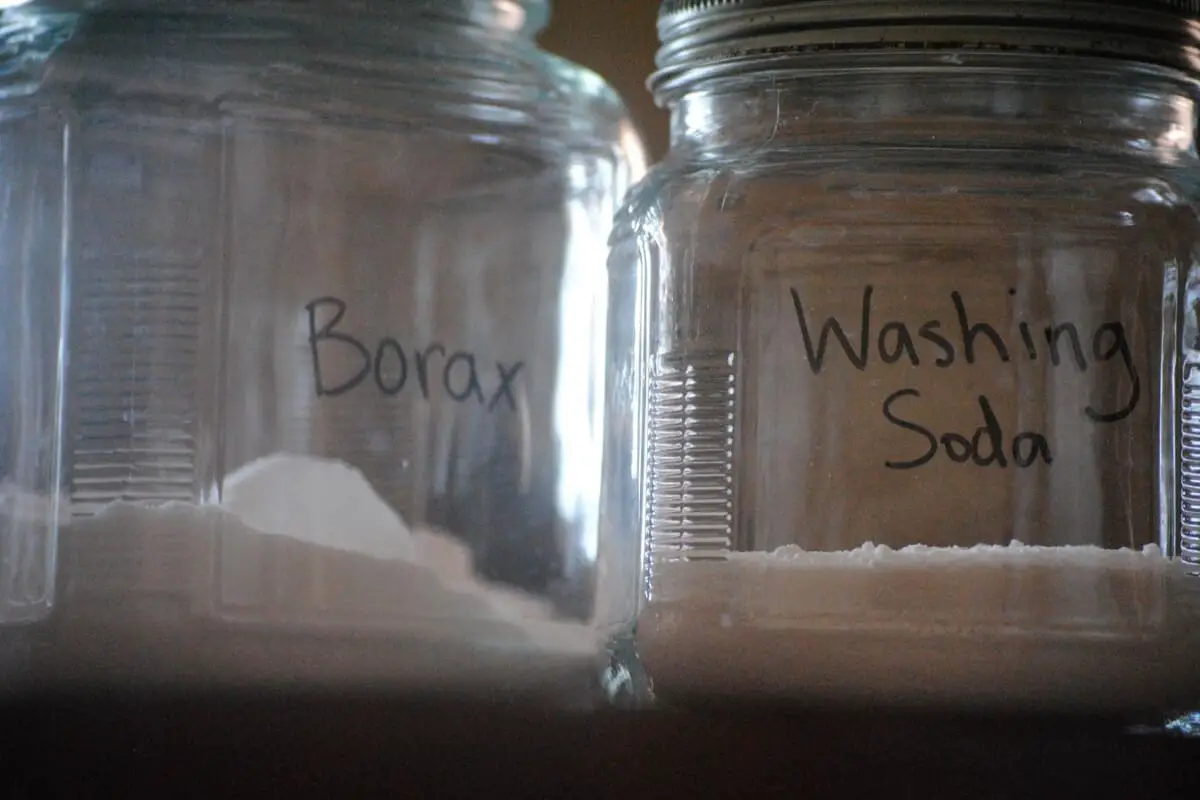 Keep Ants Away by Killing Them with Borax or Soap