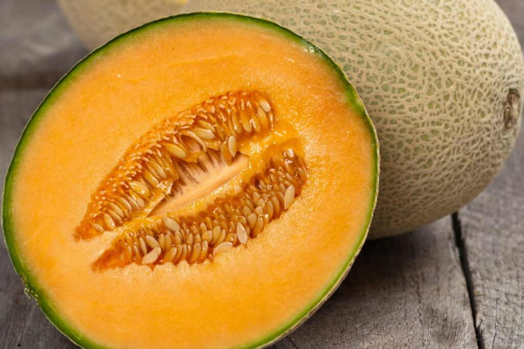 Muskmelon Seeds