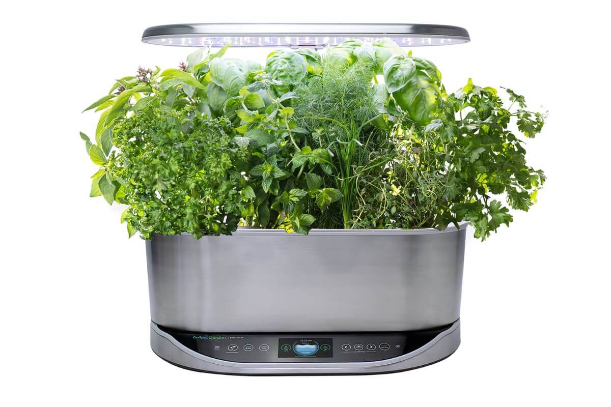 A sleek, stainless steel indoor AeroGarden kit with a built-in LED grow light. The planter is filled with lush green herbs, showcasing vibrant, healthy leaves.