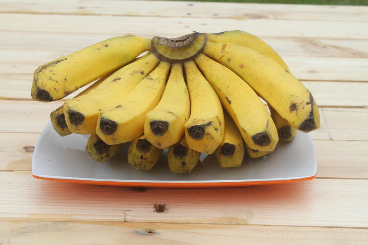 A bunch of ripe bananas displayed on a white rectangular plate with an orange rim, placed on a light wooden surface.