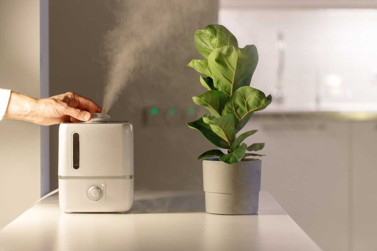 A hand adjusts a button on one of the best humidifiers for plants, emitting mist while placed on a light-colored surface beside a potted green plant. The background features a modern kitchen setting with soft lighting.