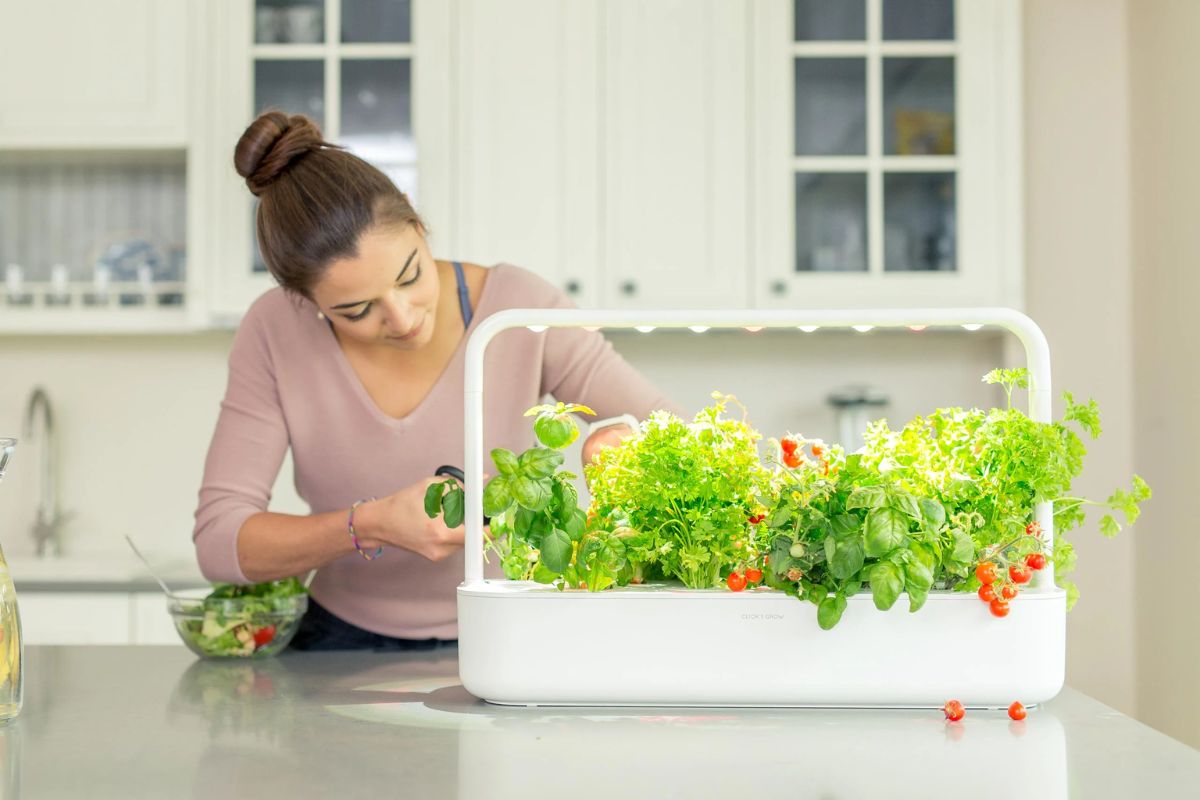 A woman trims leafy greens to add to a salad from her Click & Grow Smart Garden 9 Pro.