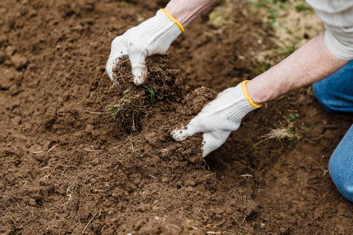 A person wearing white gloves is working with soil, using their hands to break apart clumps in a garden or field area. 