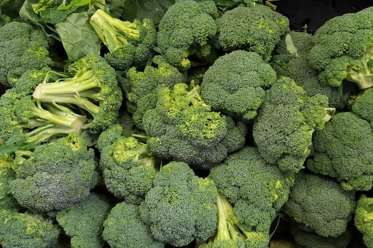 A pile of fresh broccoli florets and stems. The broccoli heads are vibrant green, tightly clustered, and surrounded by some dark green leaves.