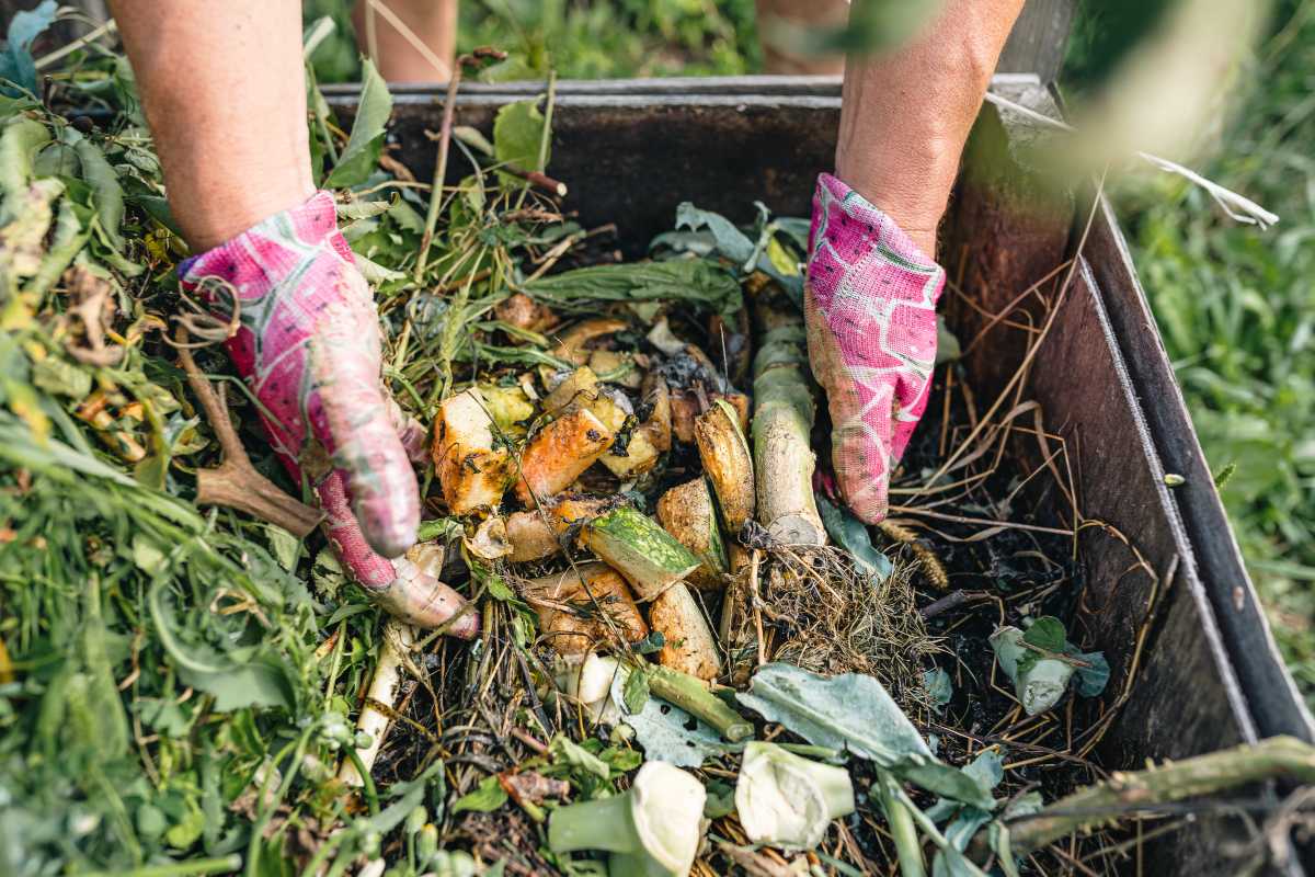 Hands wearing pink gloves are placing food scraps and green waste into a wooden compost bin, surrounded by garden greenery. 