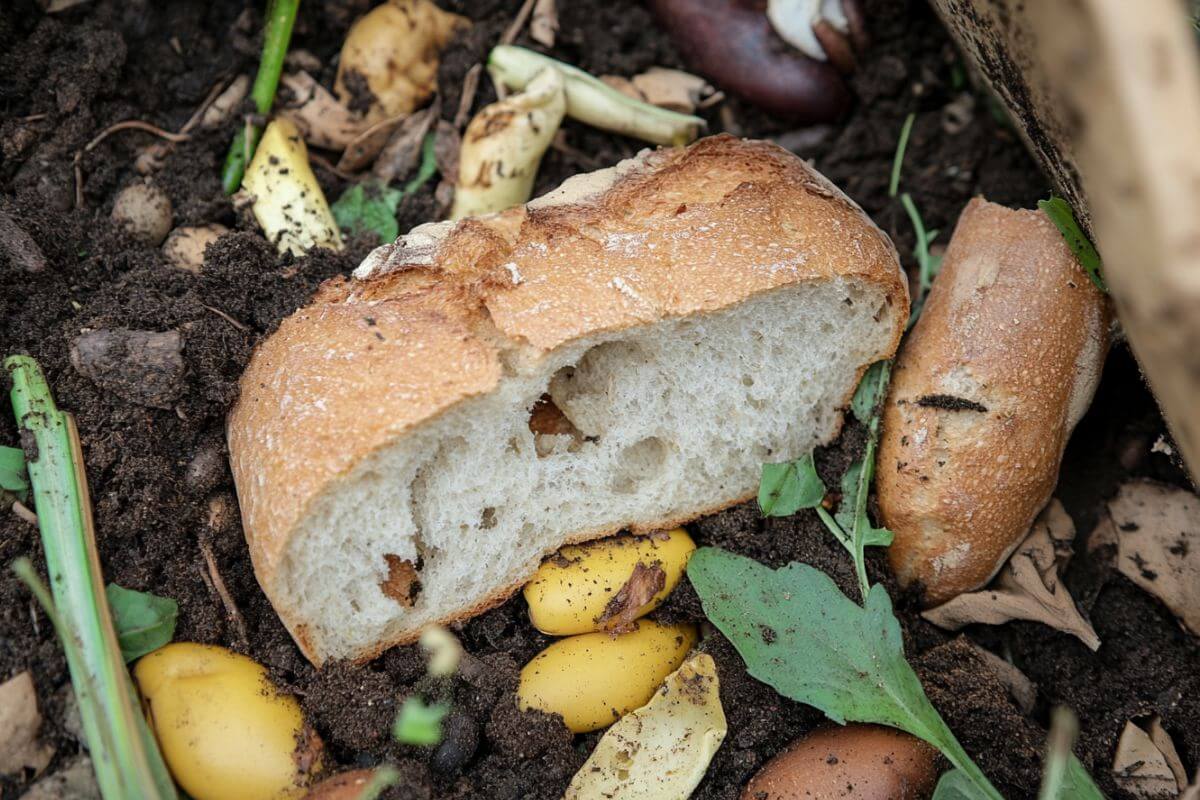 A piece of compost bread is placed on soil, surrounded by food scraps and plant matter, including potato peels and green leaves, illustrating composting.