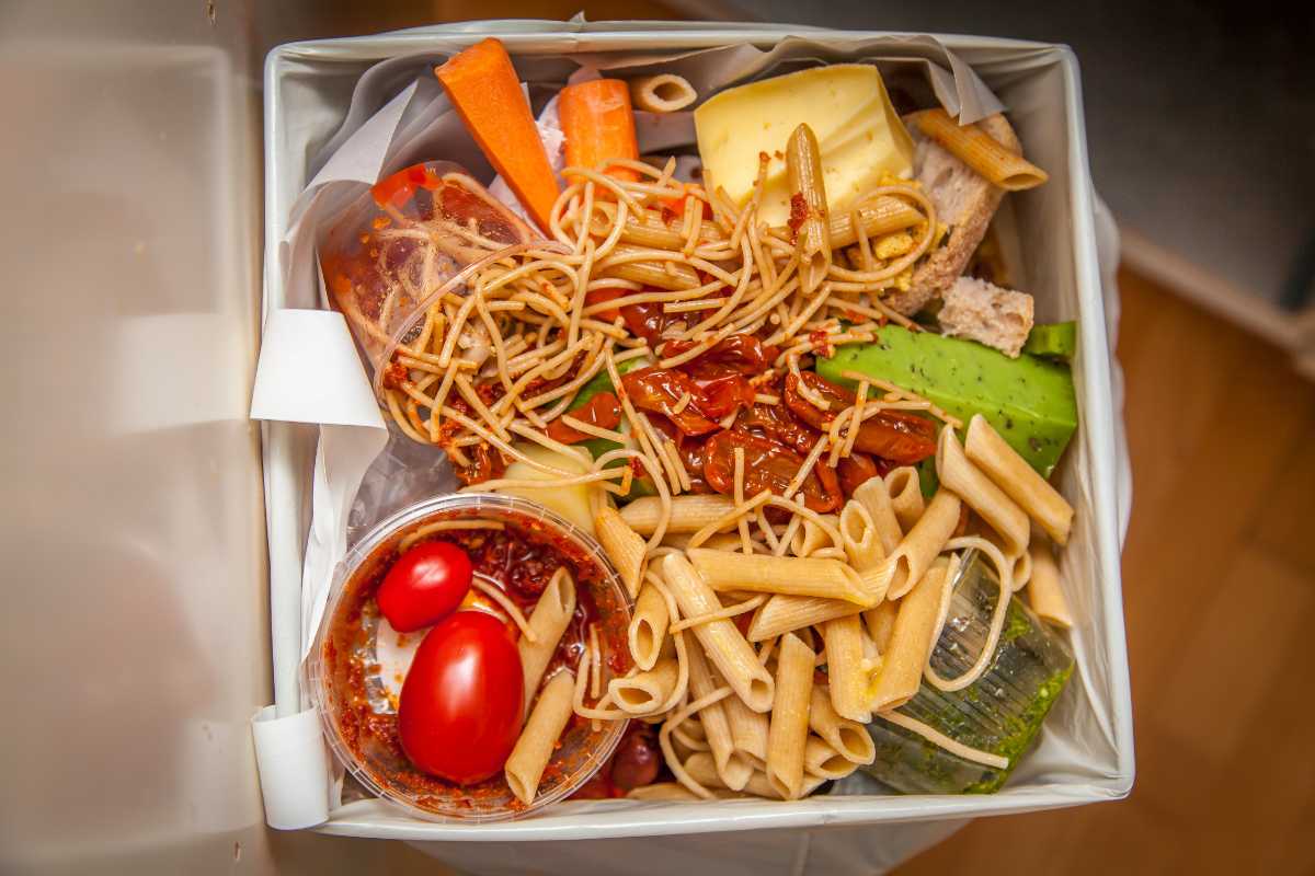 A trash bin filled with assorted discarded food, including cooked spaghetti, penne pasta, cherry tomatoes, an avocado slice, pieces of bread, carrot sticks and cheese slices. 