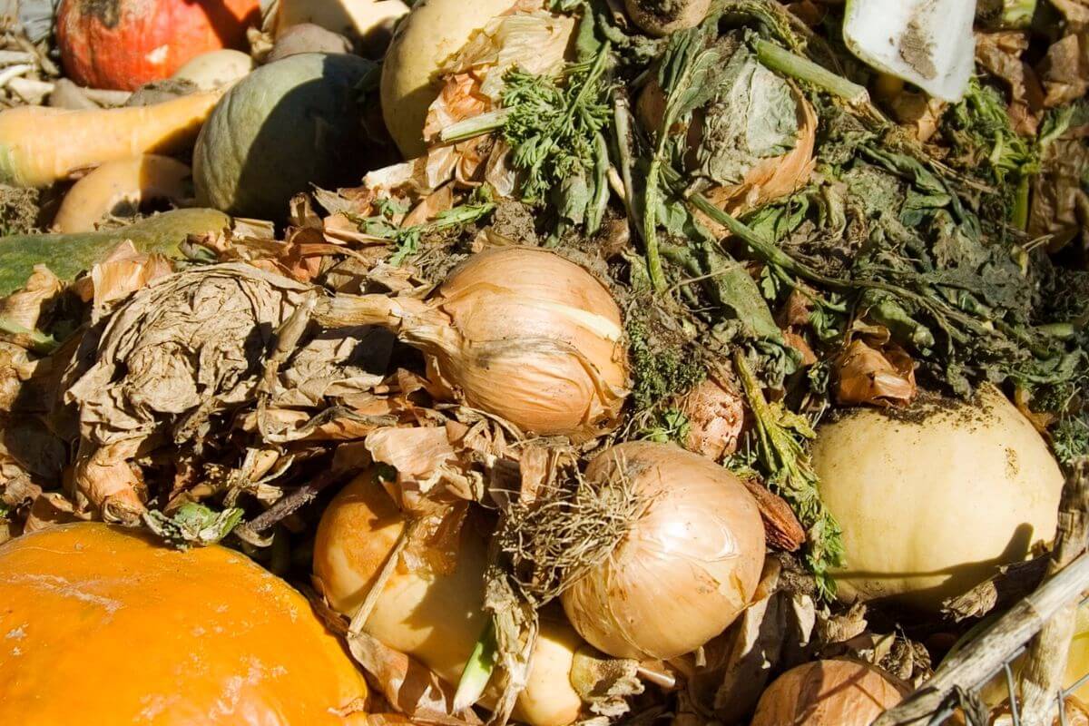 A pile of compost with organic waste materials, including onions, pumpkin, and other vegetable peelings and trimmings.