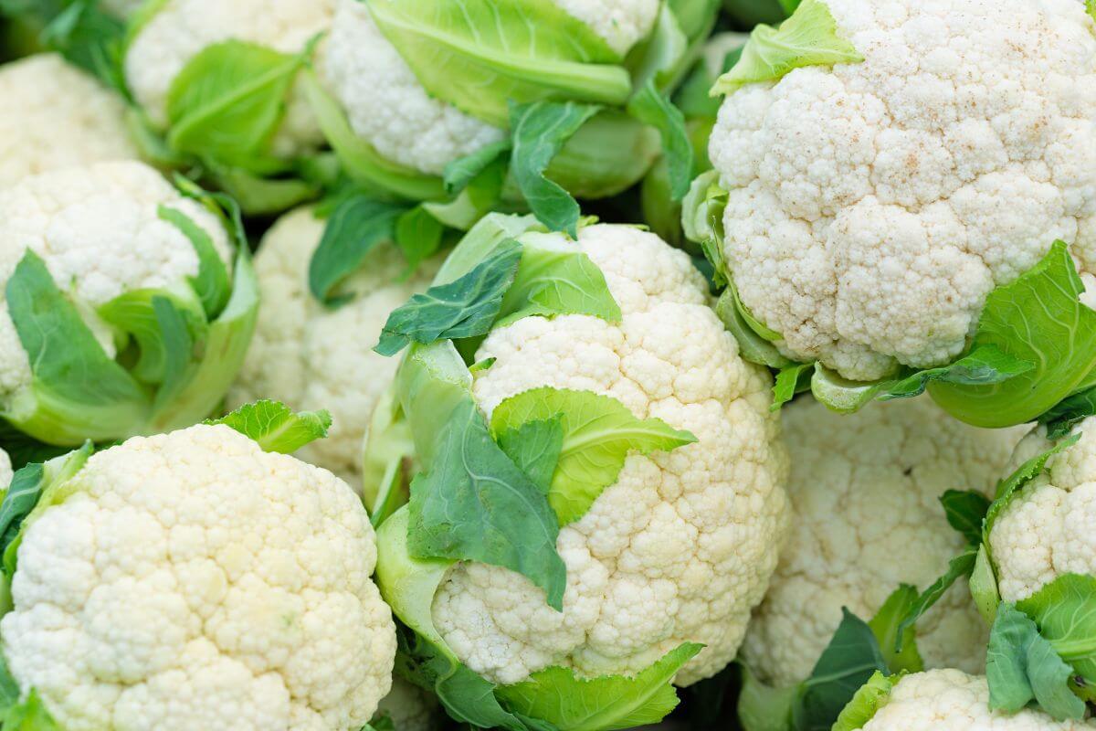 Fresh, white cauliflower heads with green leaves, closely packed together.