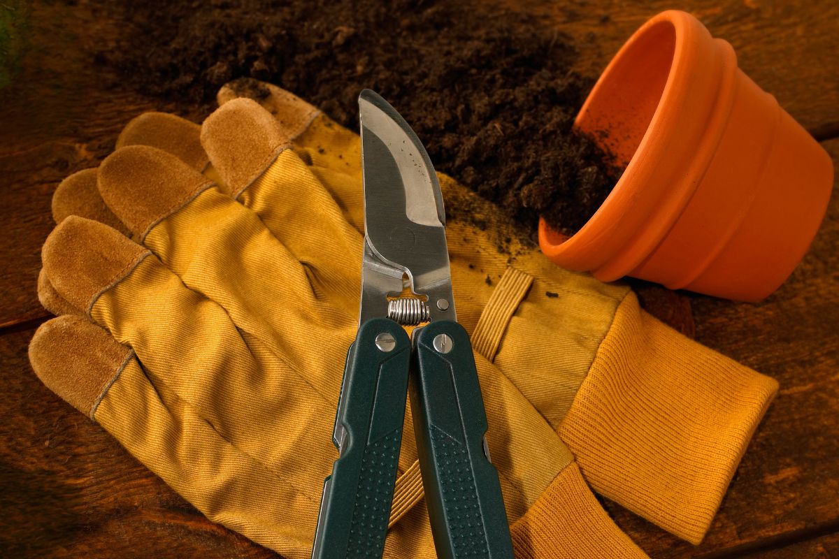 A pair of gardening gloves, soil, a clay pot, and a pair of pruning shears are arranged on a wooden surface. 