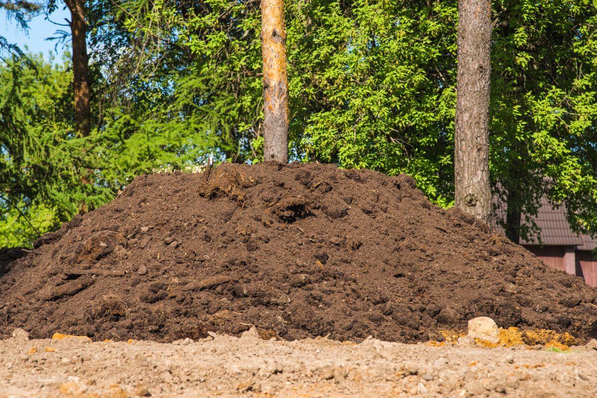 A large heap of dark brown soil, which could be composting and potentially getting too hot, sits in front of several tall trees with lush green foliage.