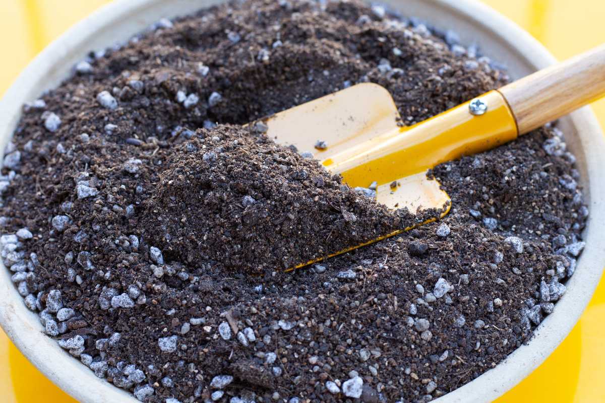 A yellow gardening trowel partially buried in a bowl filled with the best potting soil for indoor plants, a mixture of dark potting soil and small white perlite rocks. 