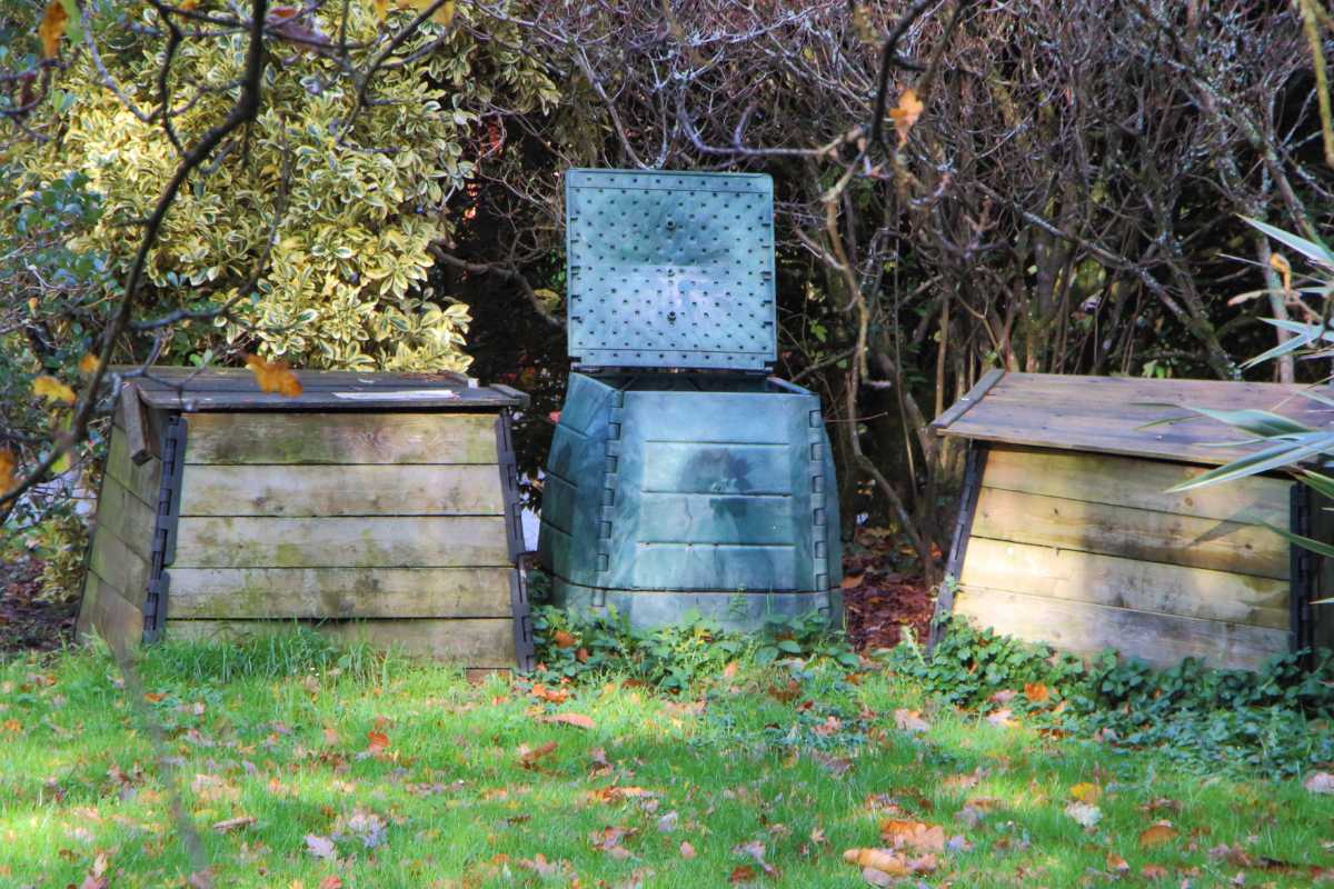 Three types of composters are situated on grass in a garden. Two bins on either side are wooden and rectangular, while the central one is green and plastic with a hinged lid. 