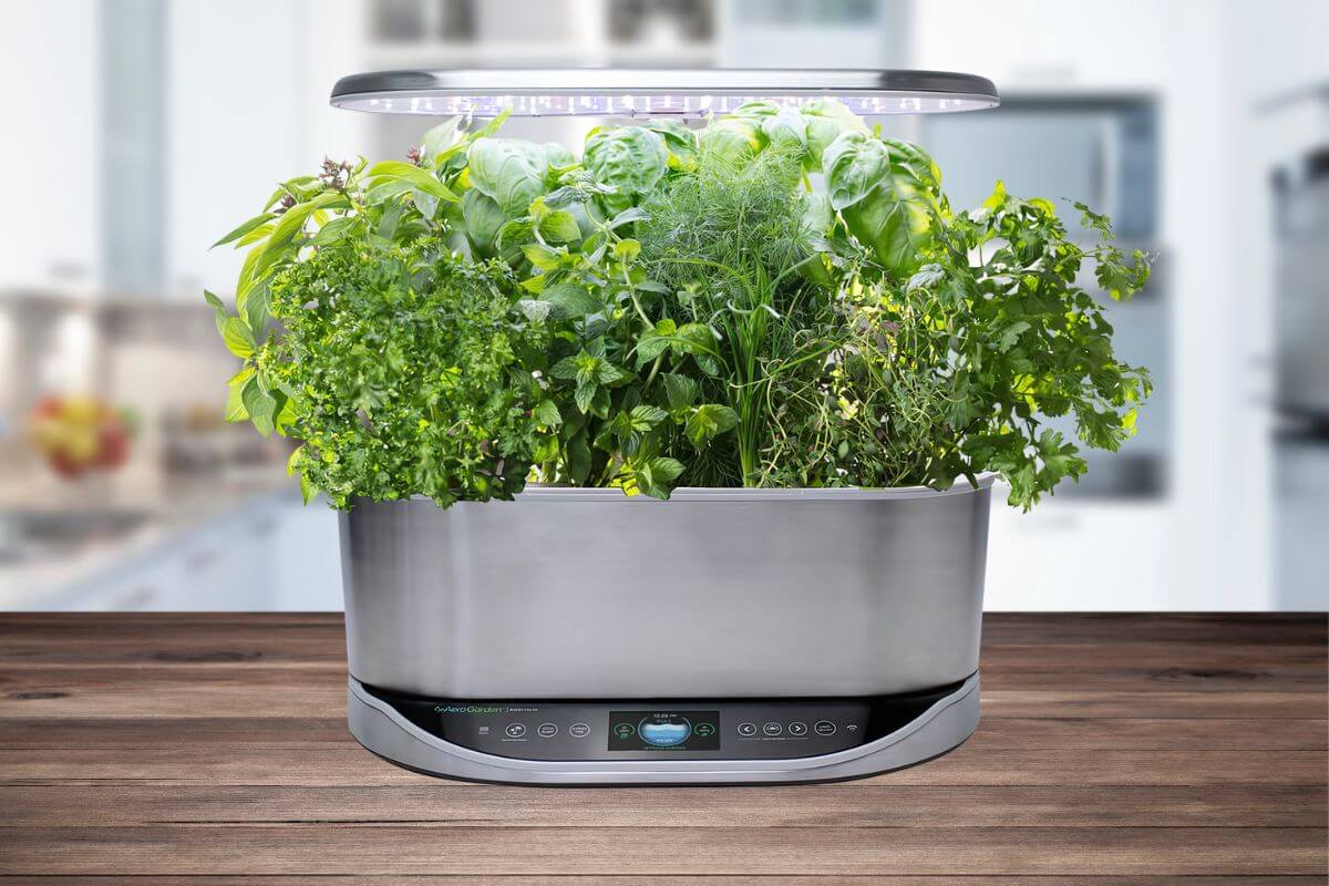 A sleek, stainless steel indoor AeroGarden sits on a wooden kitchen counter. The garden is lush with various herbs under LED grow lights, featuring a digital control panel at the front. 