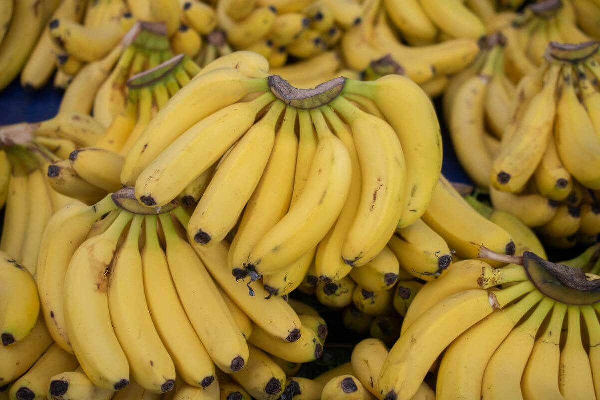 A large pile of yellow bananas still in bunches. 