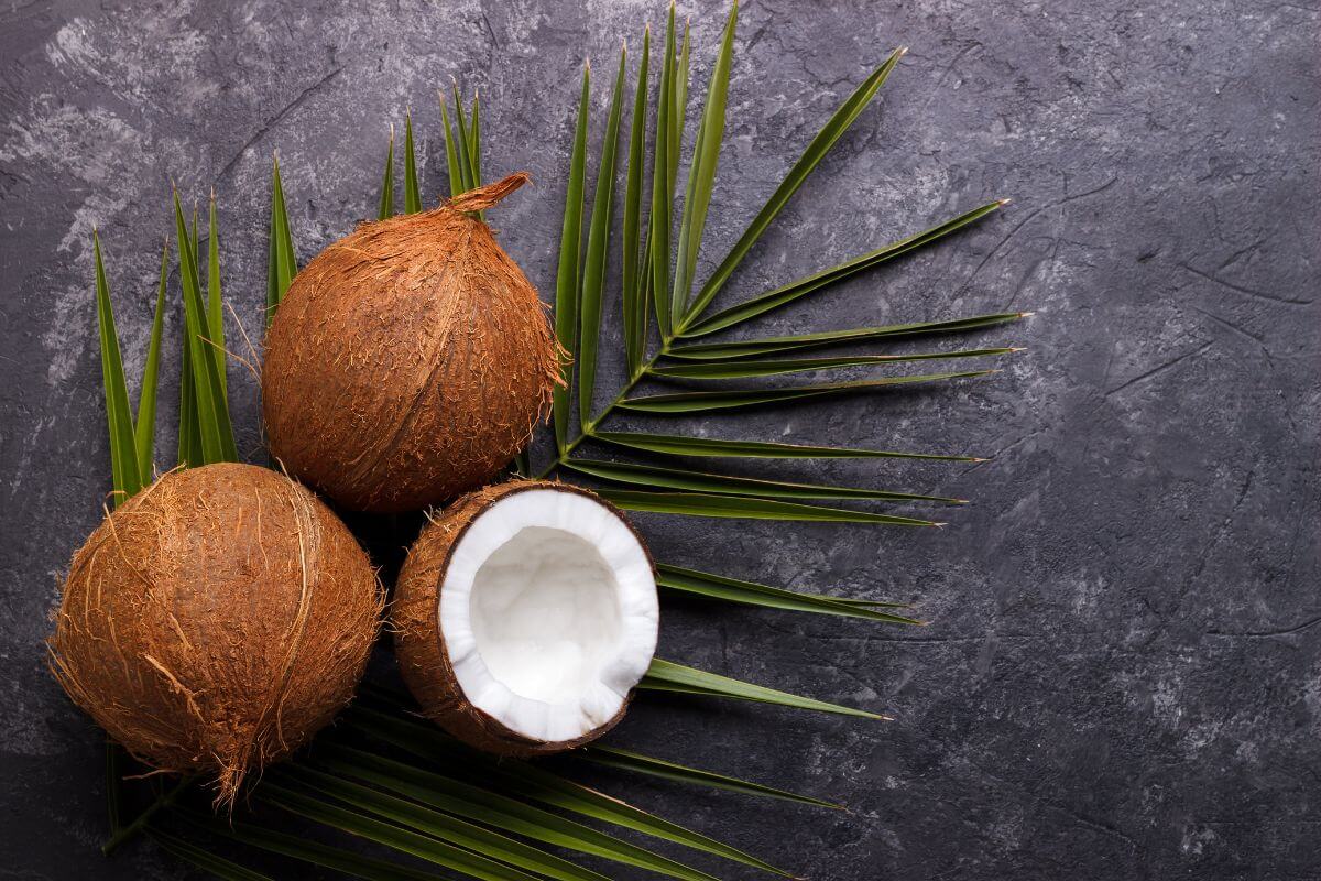 Three coconuts are arranged on a dark, textured background. Two of the coconuts are whole, and one is halved, revealing the white flesh inside. 
