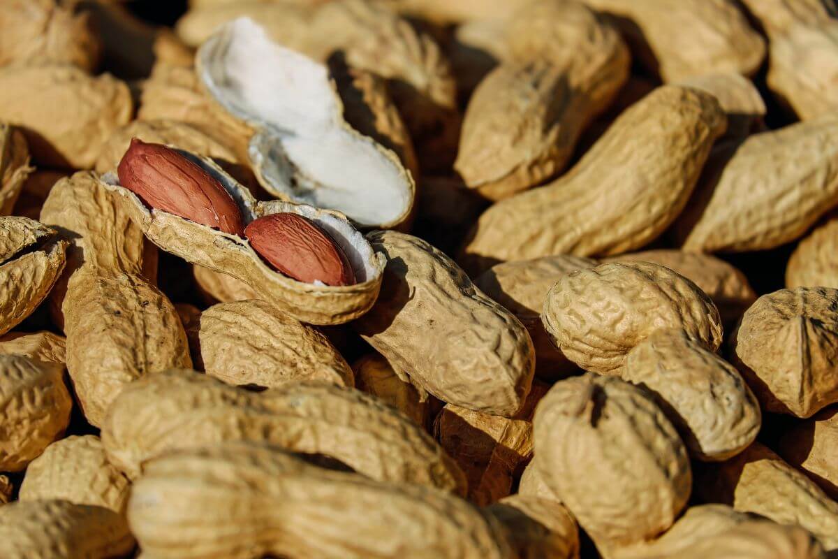 A close-up of numerous shelled peanuts, with one prominently opened peanut shell revealing two intact peanuts inside. 
