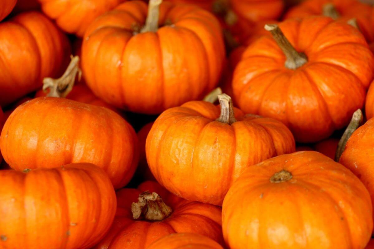 A pile of orange pumpkins with their stems intact, tightly packed together and showcasing their vibrant color and smooth texture.