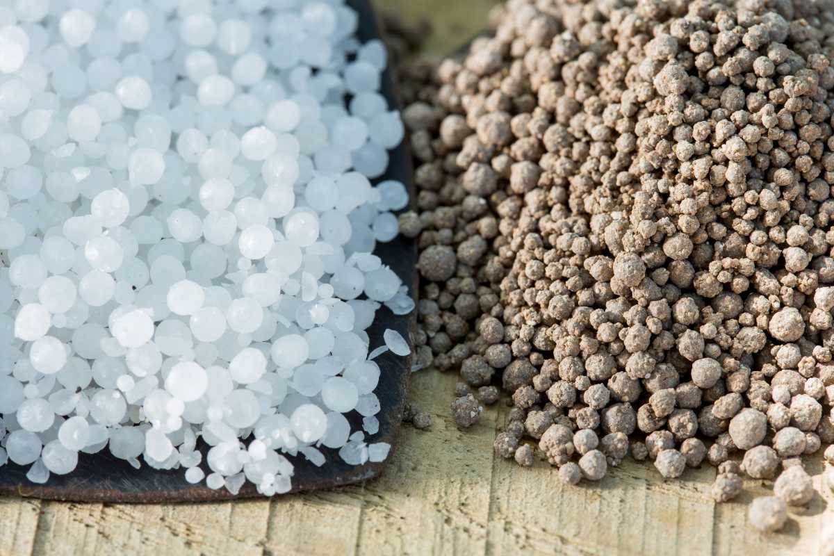 Two different types of granular substances. On the left, there are round, white pellets resembling fertilizers for vegetable garden or small beads. 