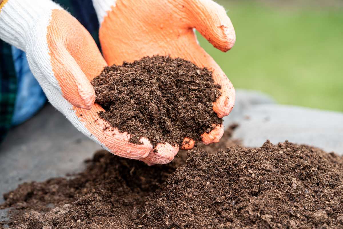 A person wearing orange and white gardening gloves holds a pile of rich, dark organic soil in their hands.