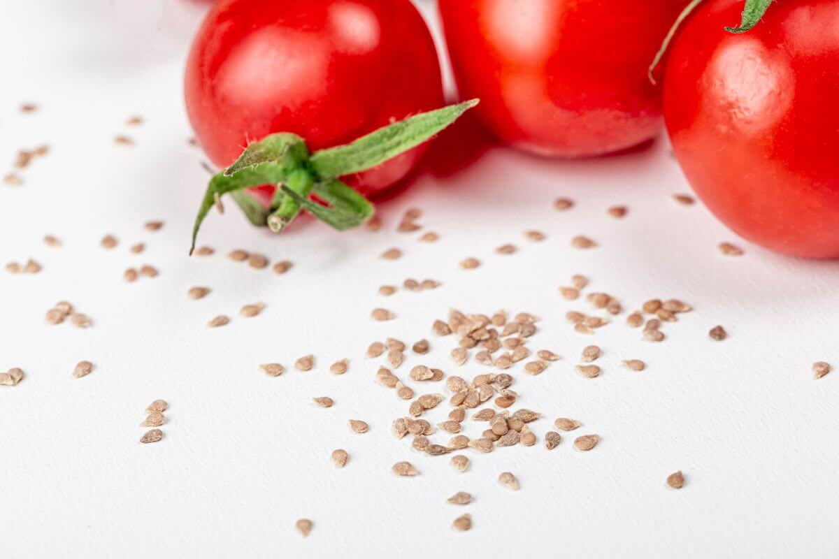 Close-up of fresh red tomatoes with green stems placed on a white surface. Tomato seeds are scattered around the tomatoes.
