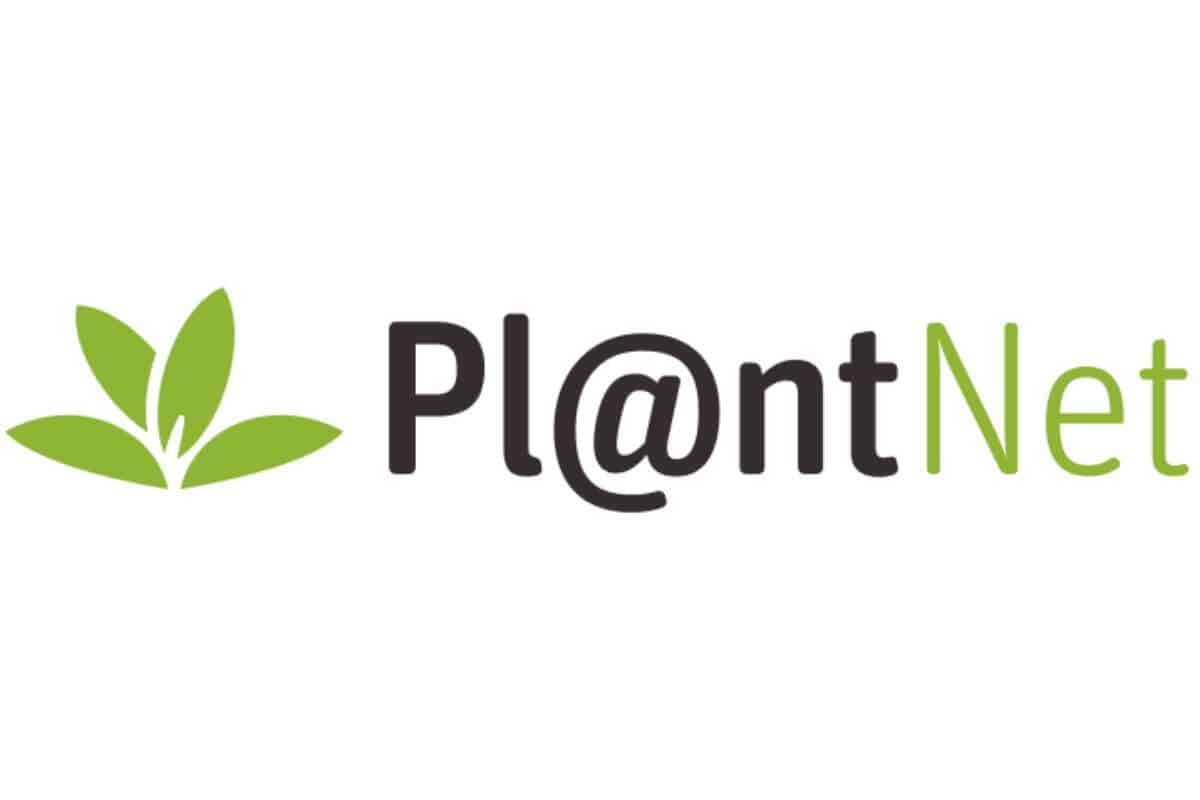 Plantnet Logo
