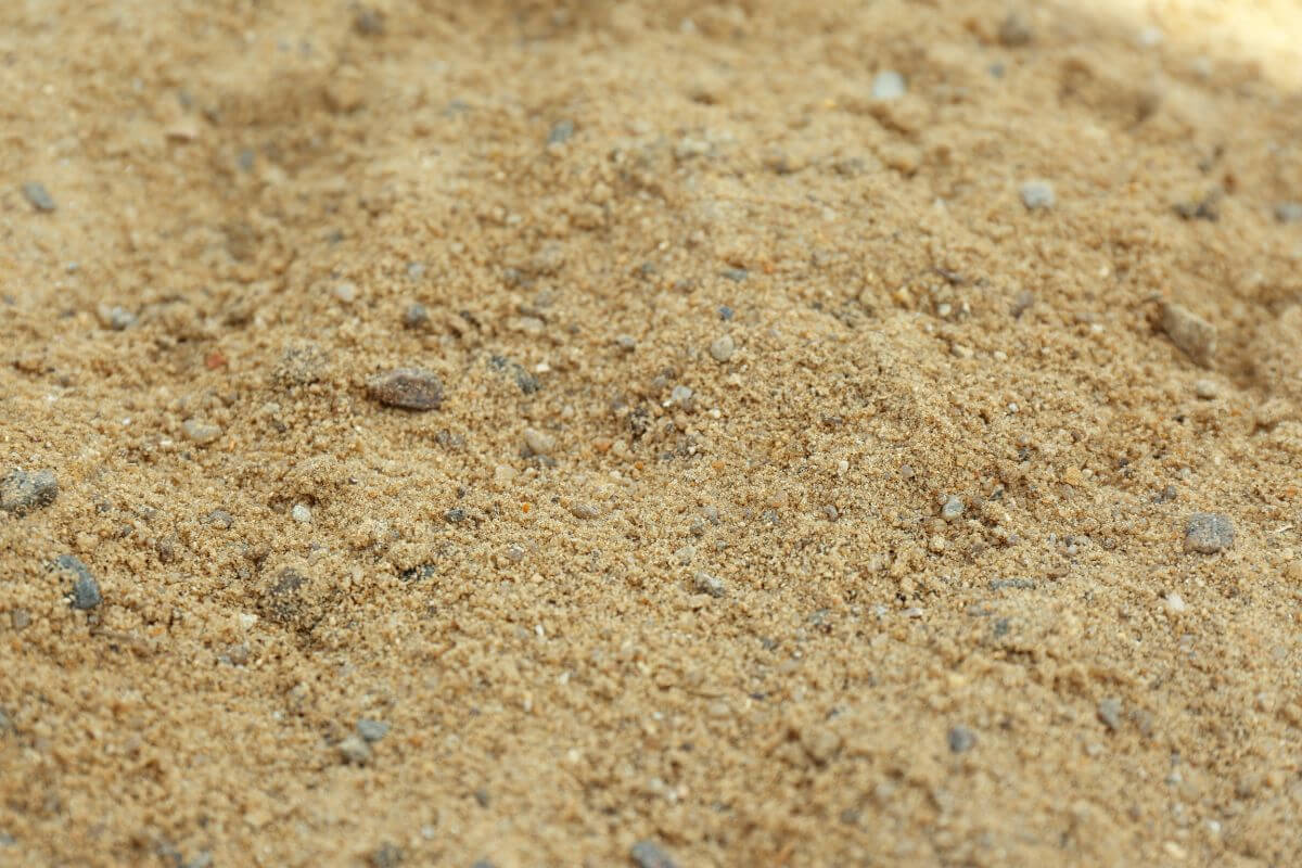 A close-up image of light brown sandy soil with small pebbles and grains varying in size.