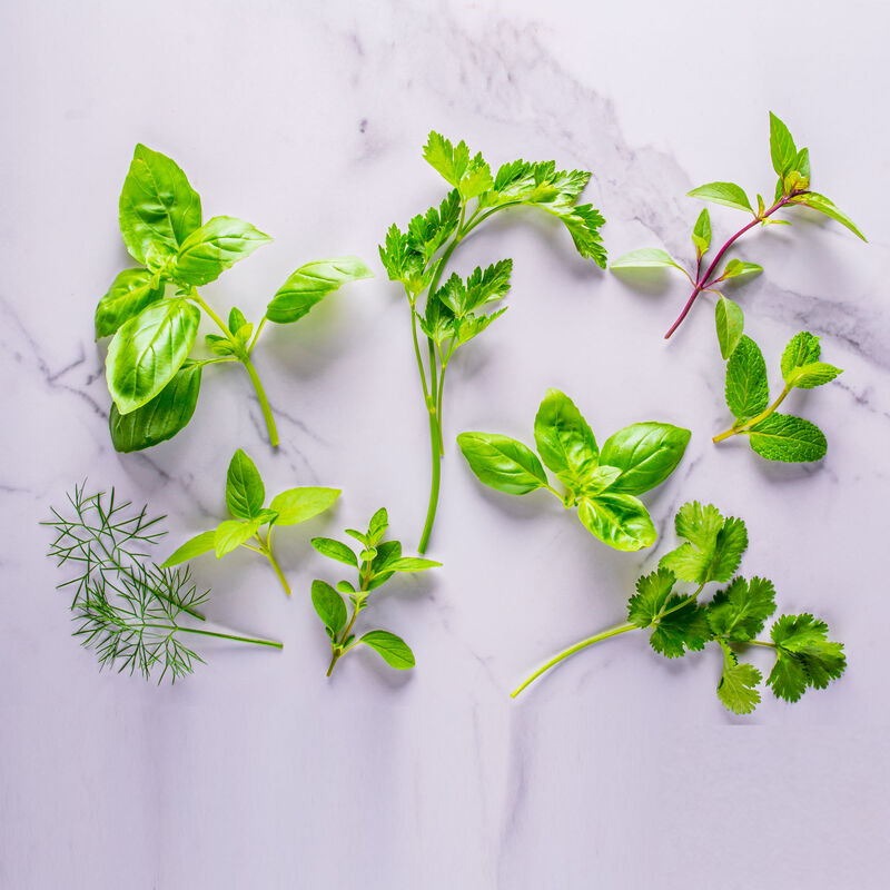 An assortment of fresh herbs displayed on a white marble surface. The herbs include basil, parsley, mint, cilantro, dill, and oregano, each with vibrant green leaves arranged in a scattered, visually appealing manner. 