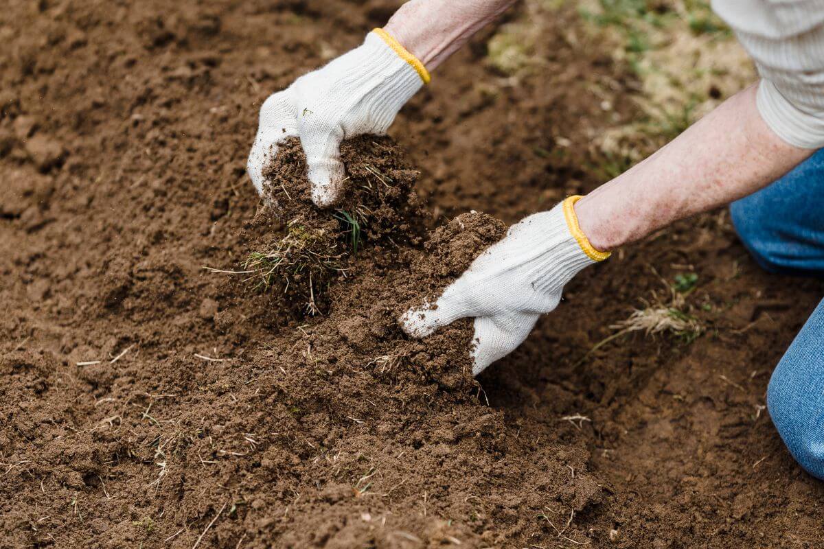 A person wearing white gloves with yellow bands is kneeling on the ground, preparing soil by breaking up clumps with their hands.