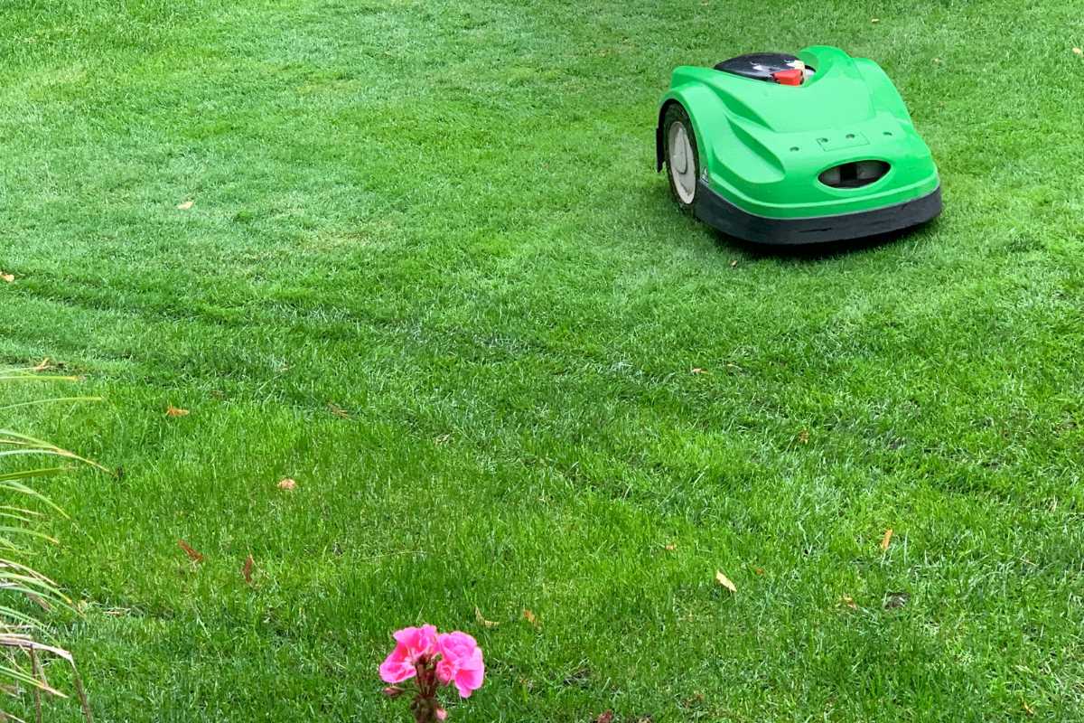 A robotic lawn mower trims the grass in a lush, green yard.