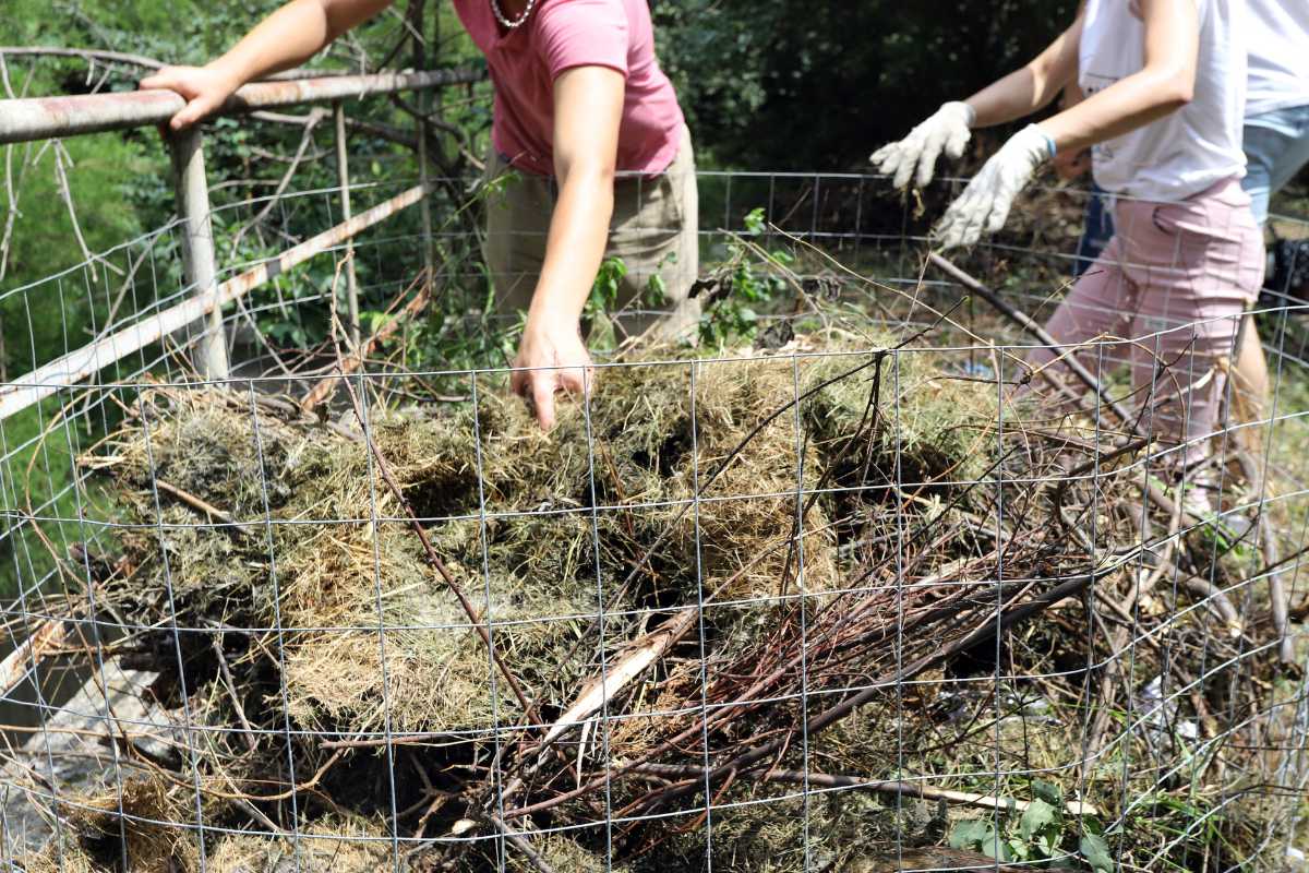 Two people are working together to create a compost pile within a wire enclosure. They are placing clumps of grass, leaves, and sticks into the pile. 