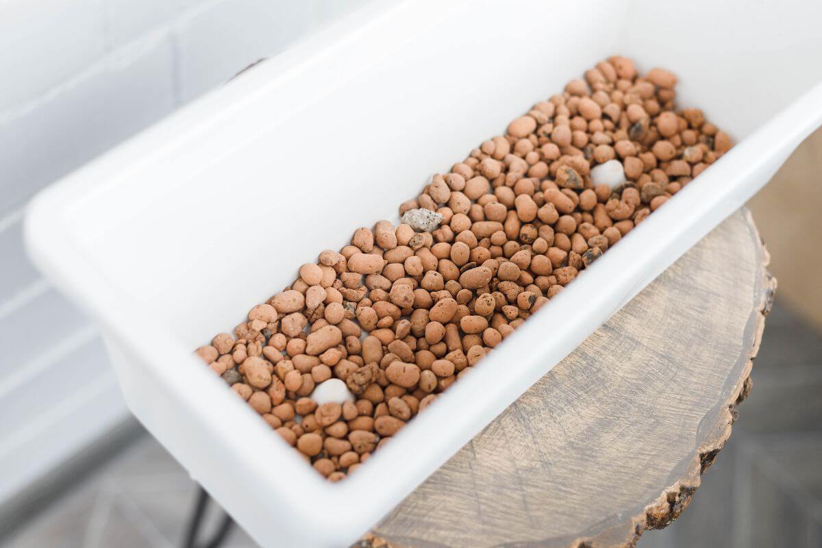 A white rectangular planter box filled with hydroponic clay pebbles sits on a round wooden surface.