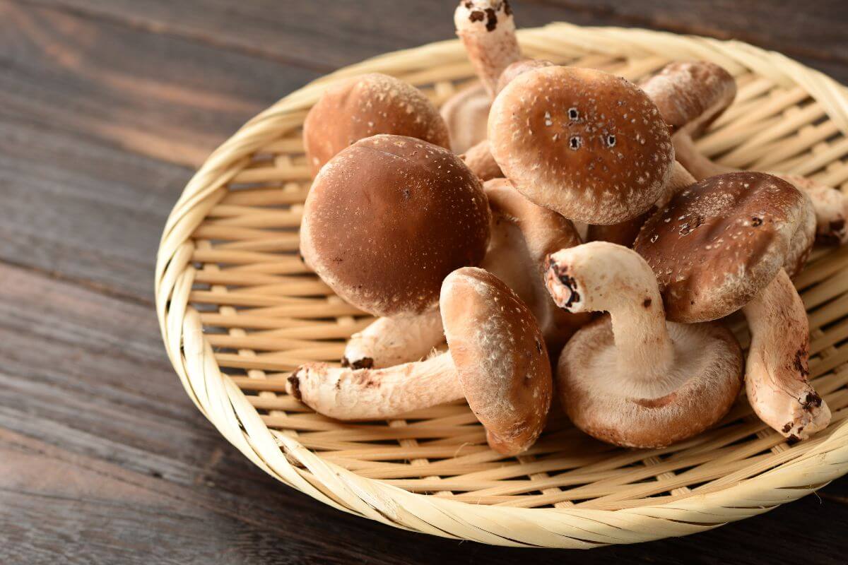 A bamboo basket filled with fresh shiitake mushrooms on a wooden surface. The mushrooms have brown caps with white speckles and creamy white stems.