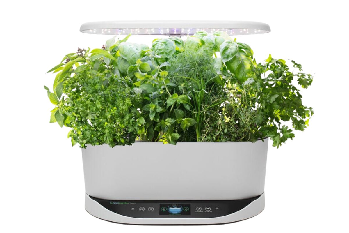 AeroGarden Bounty with various lush green herbs growing under a LED light, this AeroGarden provides a safe and efficient way to cultivate plants. 